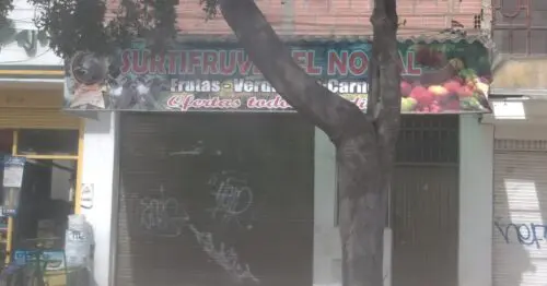 SURTIFRUVER EL NOGAL TIERRA BUENA SURTIFRUVER EL NOGAL TIERRA BUENA